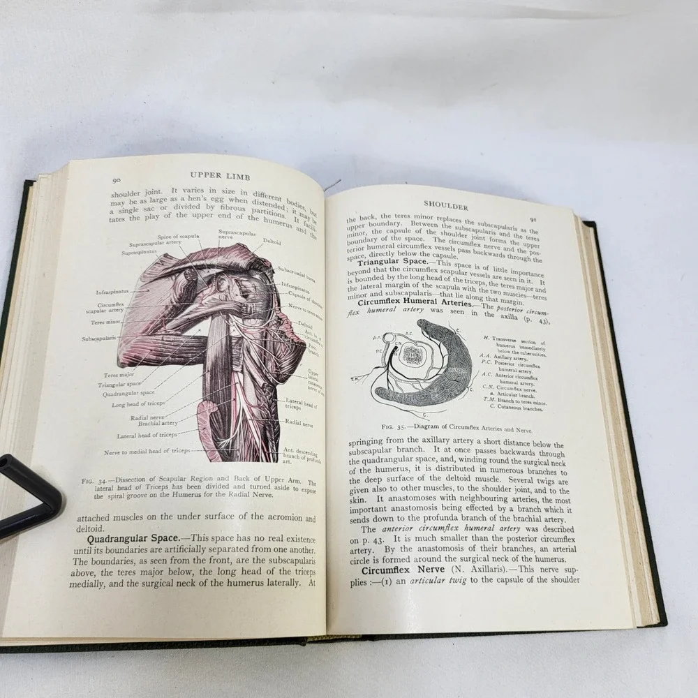Cunningham's Manual of Practical Anatomy Vol 1 10th Ed 1940 Oxford Medical Book